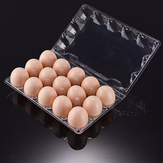 Hot Selling Plastic Cap Compression Molding Machine for Making Lunch Box and Egg Tray